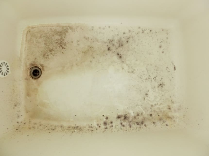 カビはなぜ発生するの？詳しい原因を知って予防につなげよう！